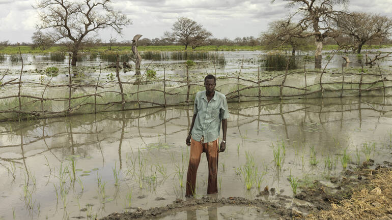 Ein Mann steht im Südsudan knöcheltief im Wasser auf einem überfluteten Feld.