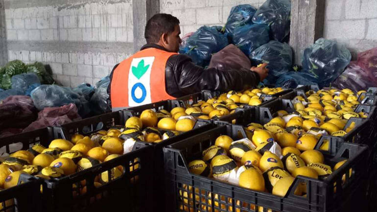 Ein Mitarbeiter von Aktion gegen den Hunger stellt Lebensmittelpakete in Gaza zusammen. Im Vordergrund Zitronen.