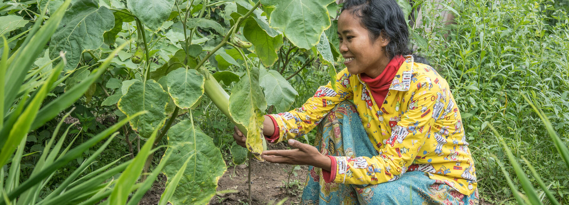 Frau begutachtet in Kambodscha ihre Ernte.