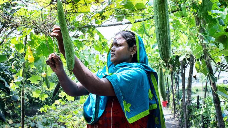 In unserem agrarökologischen Projekt in Bangladesch unterstützen wir Landwirt*innen dabei, sich in den überschwemmten Gebieten neu aufzustellen.