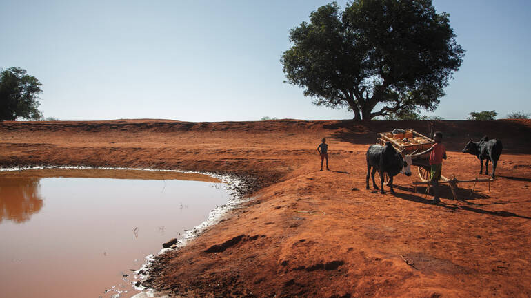 In weiten Teilen Madagaskars wird es immer trockener. Hier holen Kinder Wasser aus einem Gemeinschaftsbrunnen. 
