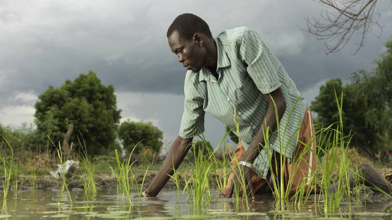 Bauer auf dem Reisfeld im Südsudan