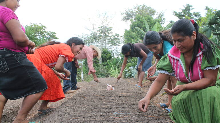 Frauen aus Guatemala säen Gemüse in einem gemeinsam bewirtschafteten Garten.