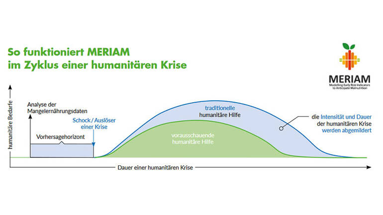 Diagramm MERIAM im Zyklus einer humanitären Krise