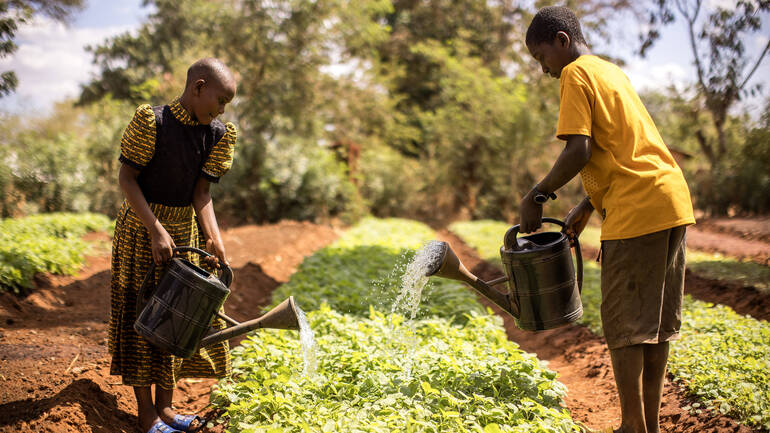 Zwei junge Menschen aus Tansania stehen auf einem Feld und gießen mit Gießkannen angepflanztes Gemüse.
