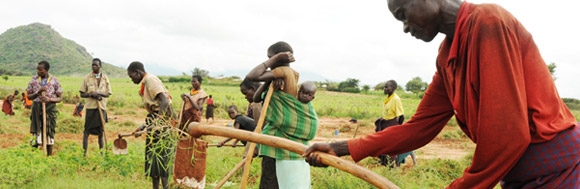 Menschen arbeiten auf einem Feld in Uganda