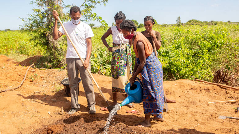 Feldarbeit in Madagaskar