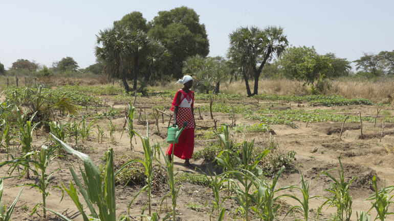 Frau im Gemüsegarten im Südsudan