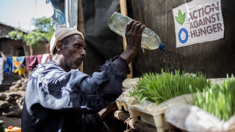 Hirte aus Äthiopien wässert Pflanzen nach hydroponischer Anbaumethode