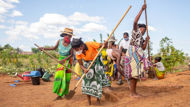 Frauen bestellen im Süden Madagaskars ein Feld gemeinsam