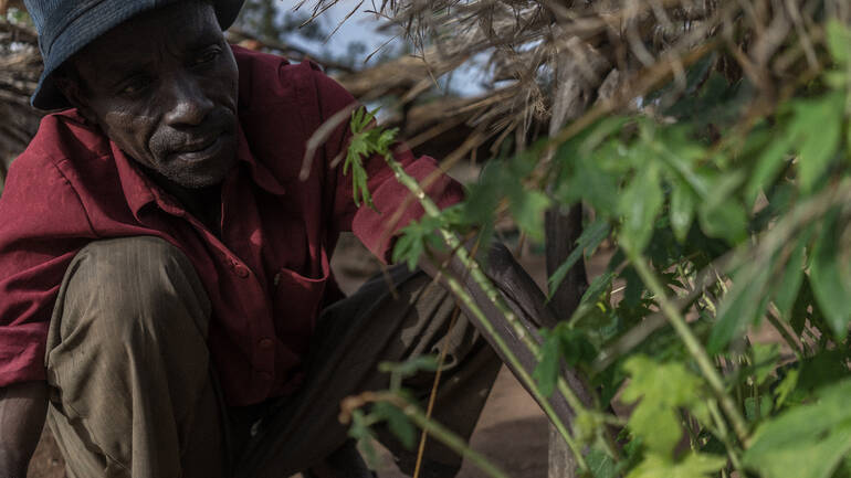 Mann aus Uganda kümmert sich um seine Pflanzen