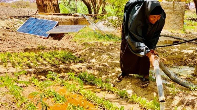 Frau aus Somalia bewässert Pflanzen durch Solarkraft Frau aus Somalia bewässert Pflanzen durch Solarkraft