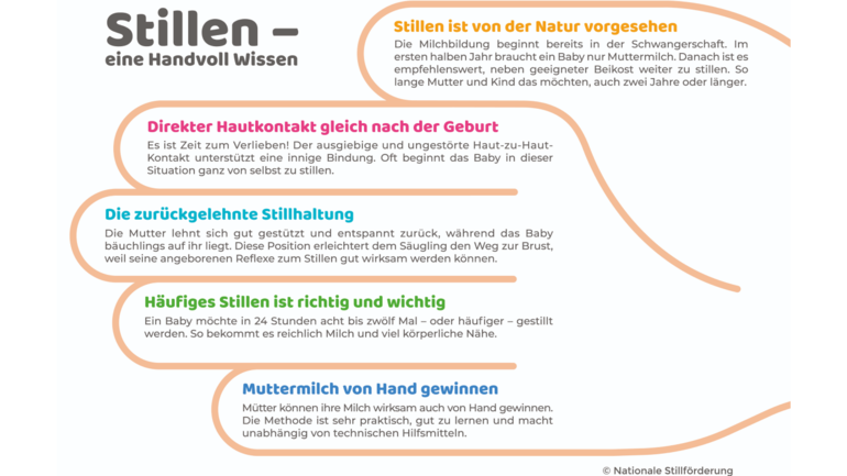 Infografik in Form einer Hand mit Text in allen fünf Fingern mit Infos zum Stillen: Eine Handvoll Wissen