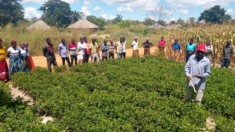 Einwohner*innen am Feldrand bei einer Vorstellung von Seeds of Hope in Sambia