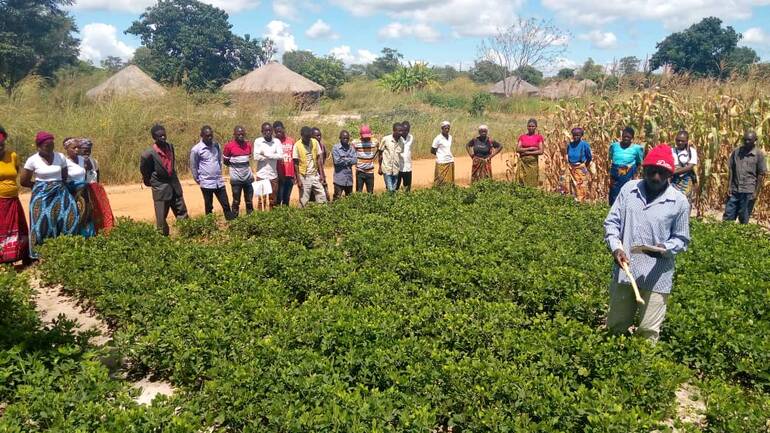Einwohner*innen am Feldrand bei einer Vorstellung von Seeds of Hope in Sambia Einwohner*innen am Feldrand bei einer Vorstellung von Seeds of Hope in Sambia
