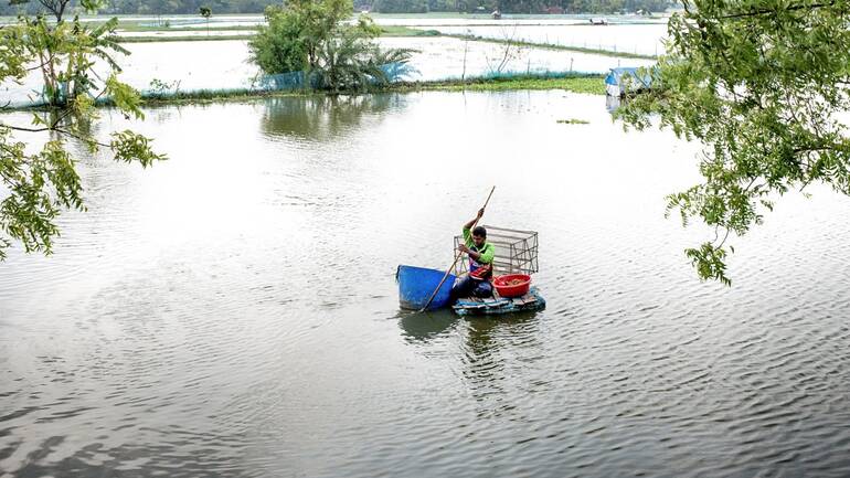 überschwemmtes Feld in Bangladesch