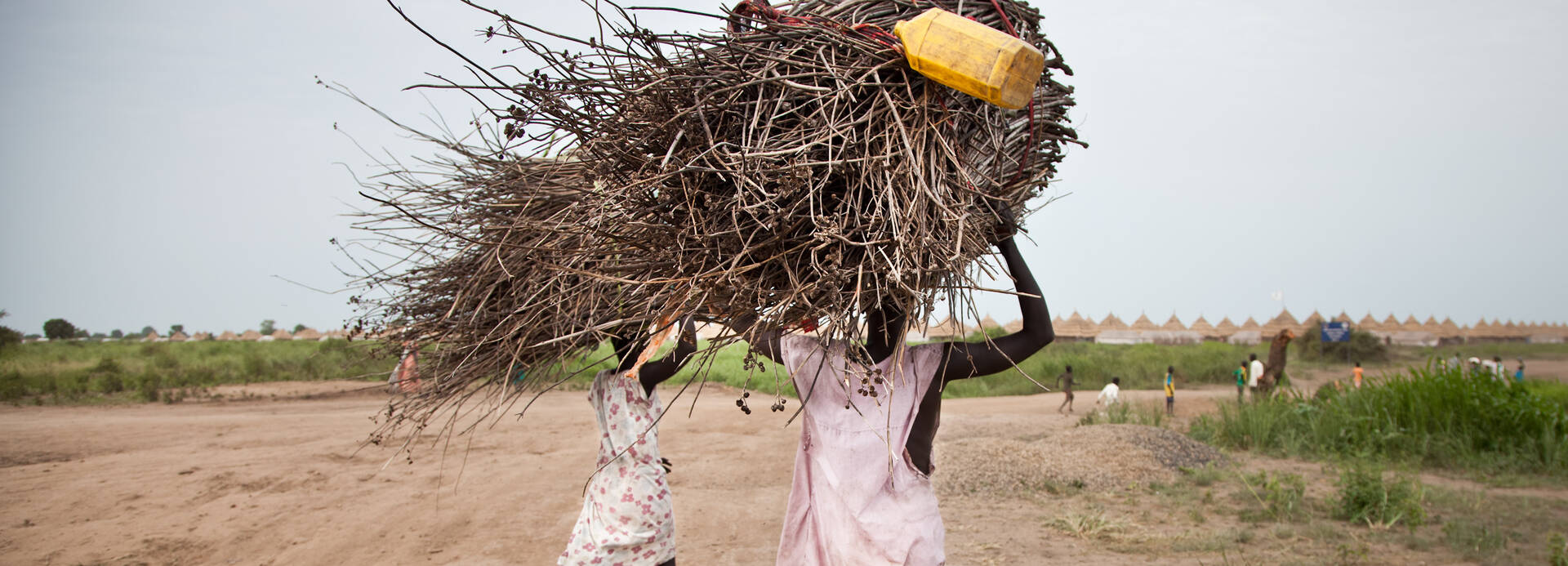 Menschen tragen ein Bündel Äste auf ihren Köpfen in Äthiopien.