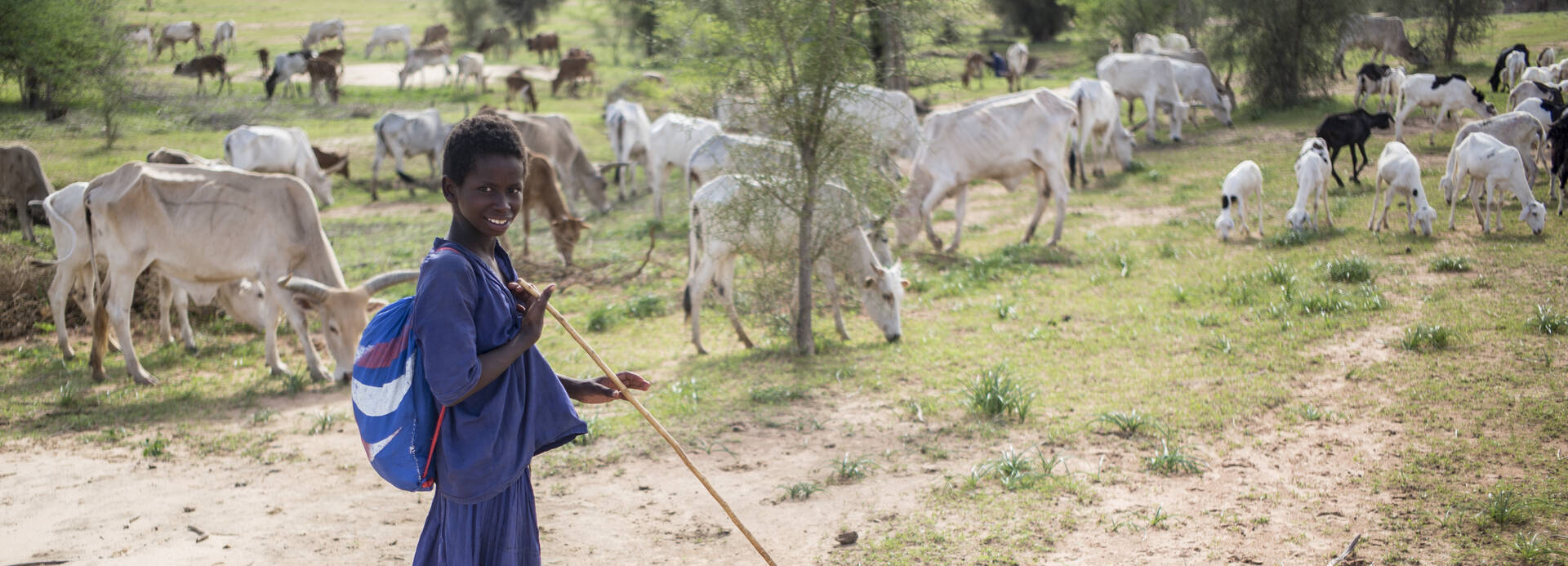 Junge in Mauretanien hütet Rinder.