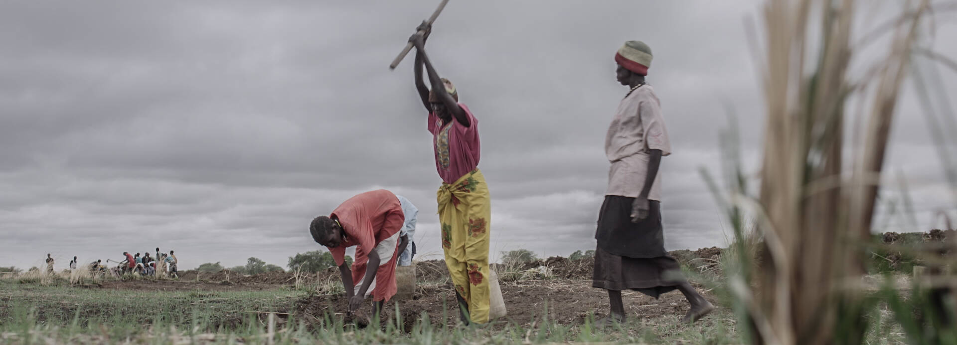 Menschen im Südsudan arbeiten auf einem Feld.
