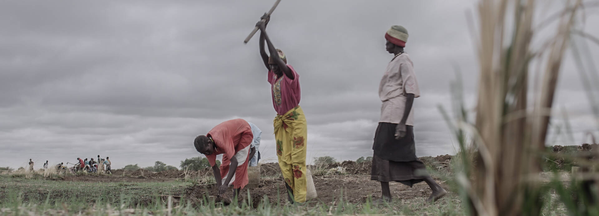 Menschen im Südsudan arbeiten auf einem Feld. Menschen im Südsudan arbeiten auf einem Feld.