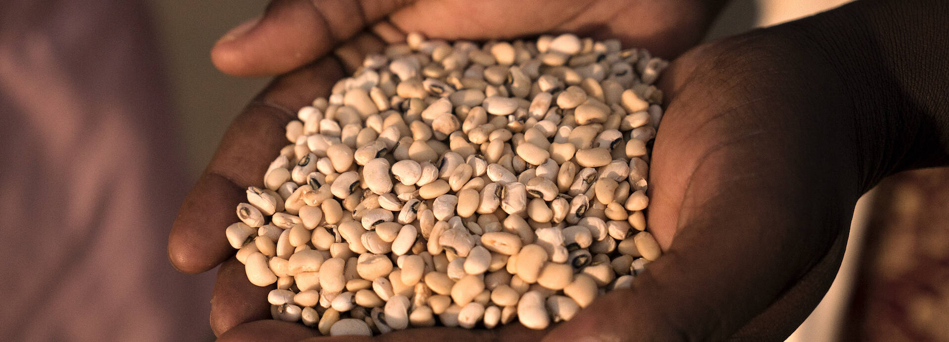 Hände mit Saatgut in Burkina Faso.