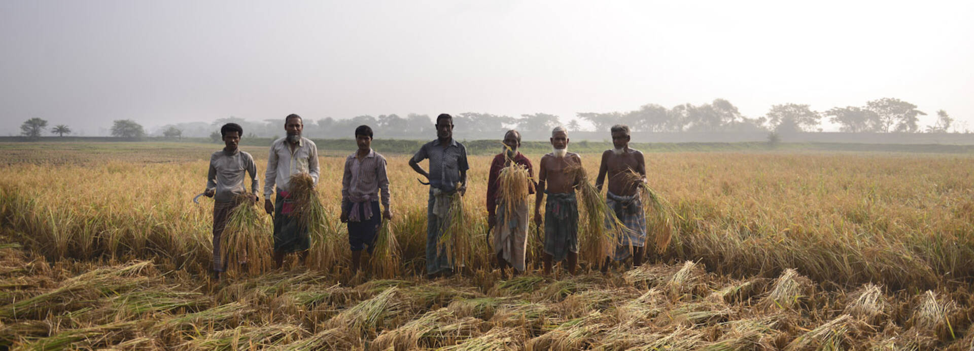 Männer aus Bangladesch auf einem Getreidefeld