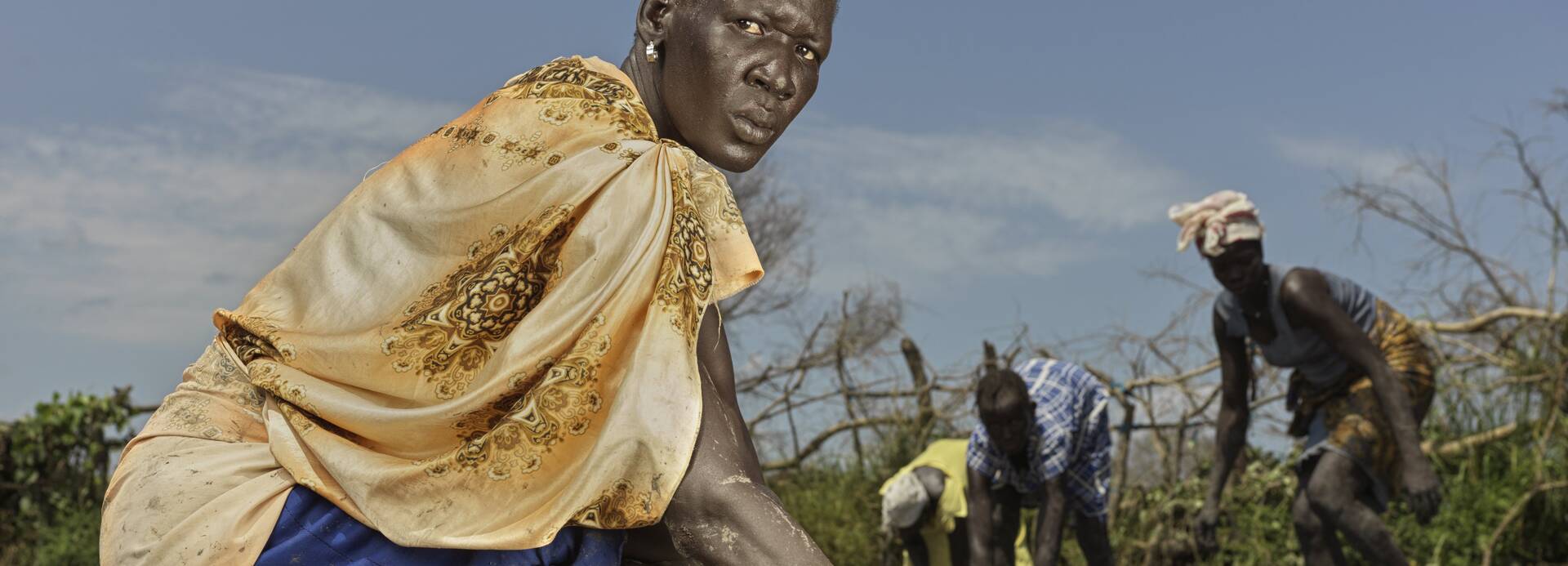 Reisanbau Südsudan