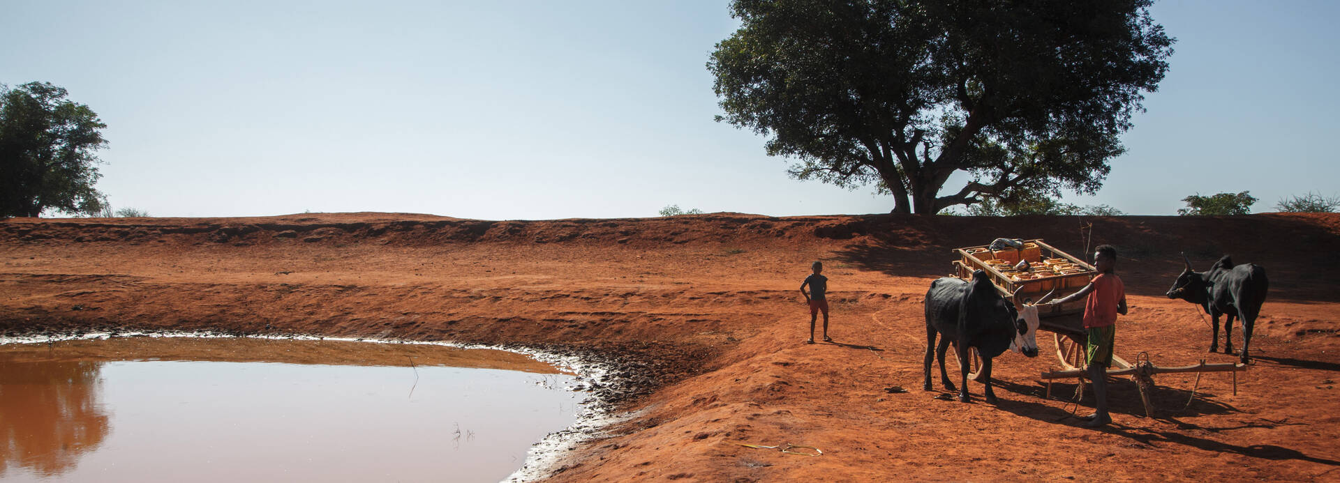 Kinder mit einem Eselskarren stehen neben einem Wasserloch in Madagaskar.