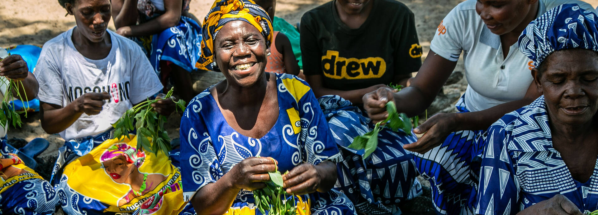 Dorothy Samba Makina (64) sitzt in der Sonne und lächelt inmitten einer Gruppe von Freunden und Verwandten, während sie im Dorf Kande in Sambia im Kaeya Agricultural Camp frische Maniokblätter pflücken. Dorothy Samba Makina (64) sitzt in der Sonne und lächelt inmitten einer Gruppe von Freunden und Verwandten, während sie im Dorf Kande in Sambia im Kaeya Agricultural Camp frische Maniokblätter pflücken.