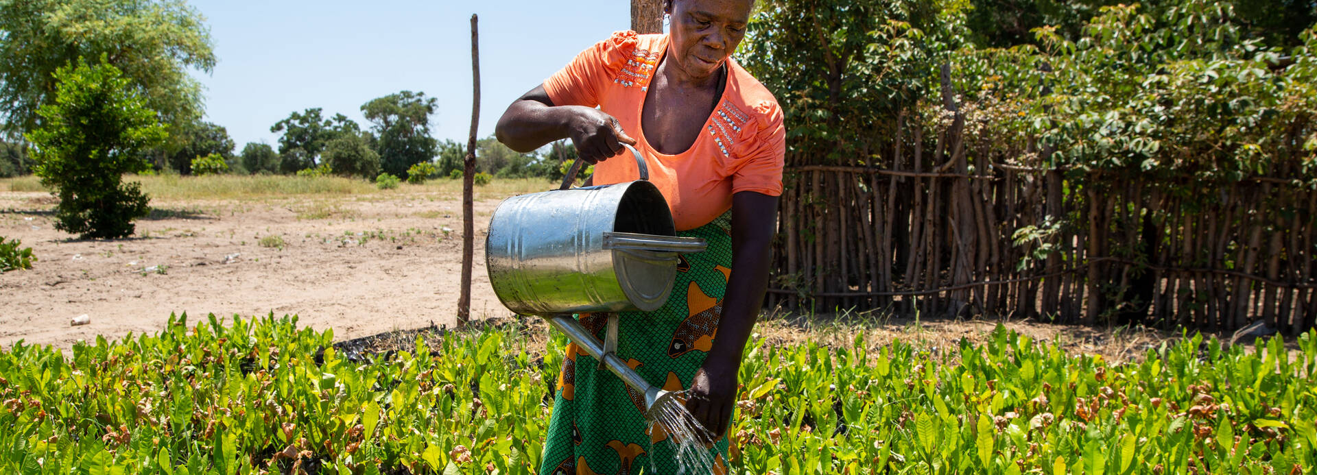 Dorothy Makina gießt die Pflanzen in ihrem Garten.