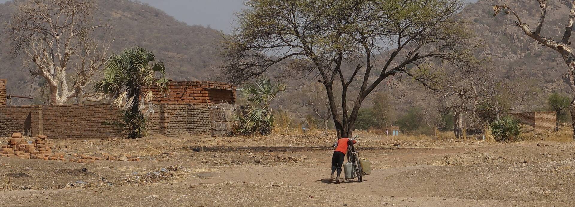 Person mit Fahrrad in Süd-Kordofan, Sudan Eine Person mit Rücken zur Kamera schiebt ein Fahrrad in einer ländlichen Umgebung in Süd-Kordofan, Sudan.