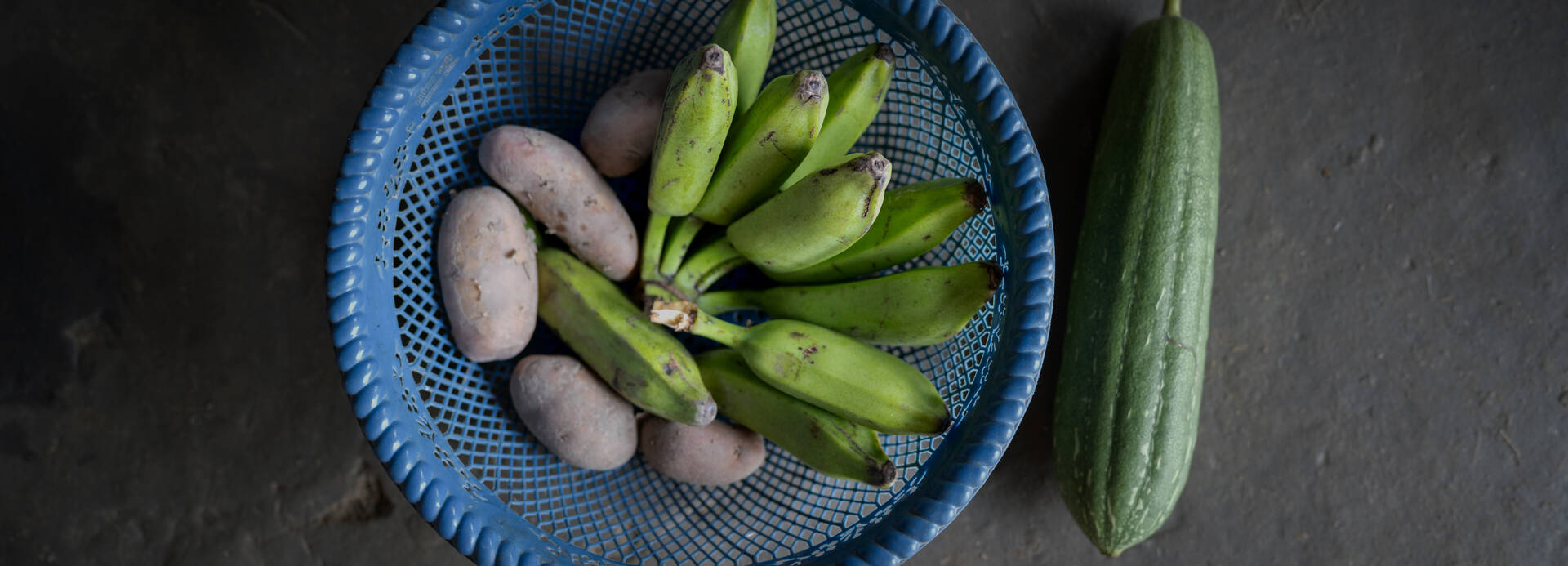 Kochbananen, Süßkartoffeln und eine Zucchini aus dem Gemüsegarten von Sarasati in Bangladesch. Kochbananen, Süßkartoffeln und eine Zucchini aus dem Gemüsegarten von Sarasati in Bangladesch.