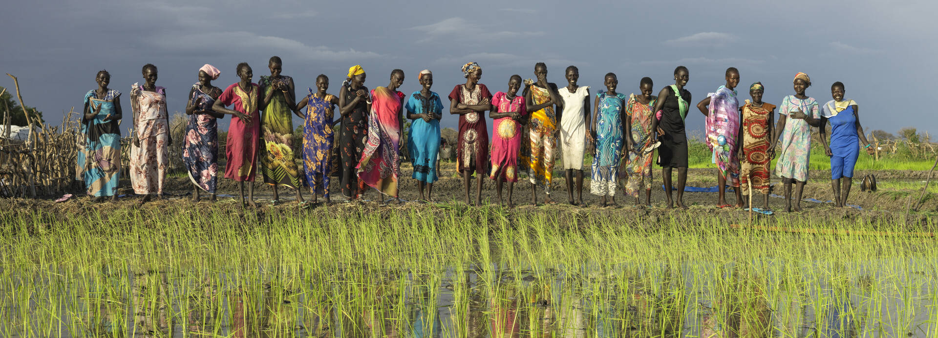 Mehrere Menschen stehen neben einem Reisfeld in Südsudan, das sie bepflanzt haben. Mehrere Menschen stehen neben einem Reisfeld in Südsudan, das sie bepflanzt haben.