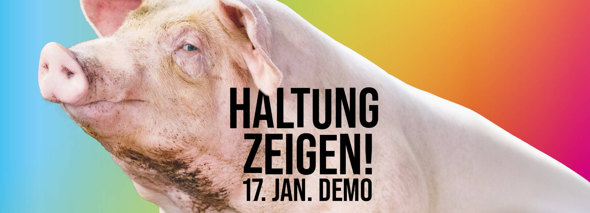 Web-Banner Schwein: Haltung zeigen! 17. Januar 2026 Demo für eine zukunftsfähige Landwirtschaft
