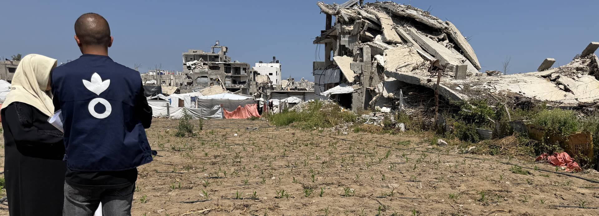 Eine von Aktion gegen den Hunger unterstützte Anbaufläche in Gaza vor kriegszerstörter Umgebung