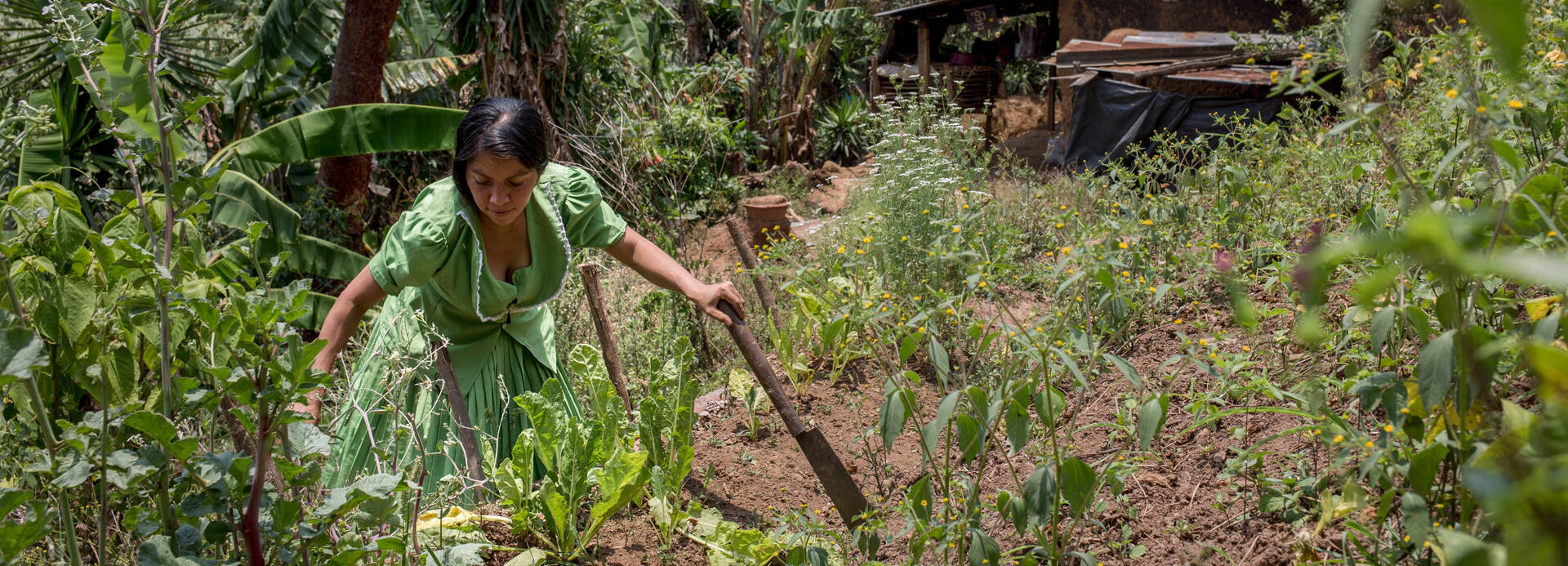 Frau bei der Feldarbeit in Guatemala