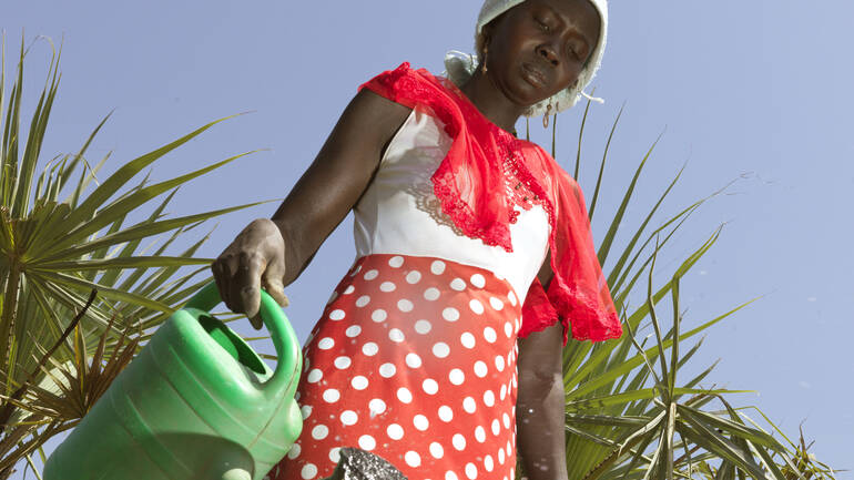 Frau gießt Pflanzen im Südsudan