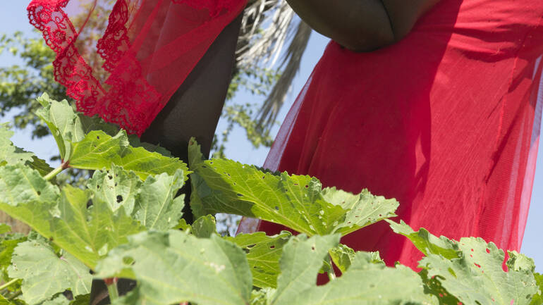 Frau aus dem Südsudan betrachtet Pflanzen