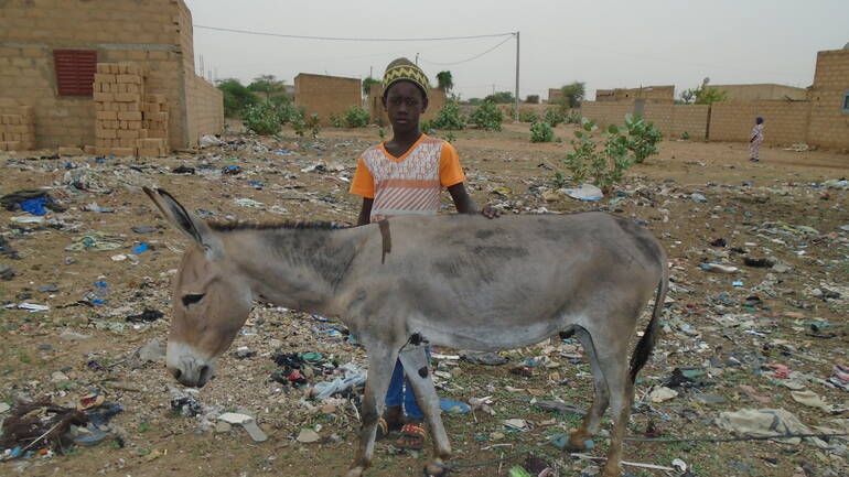 Omar mit seinem Esel am Rande des Müllfelds