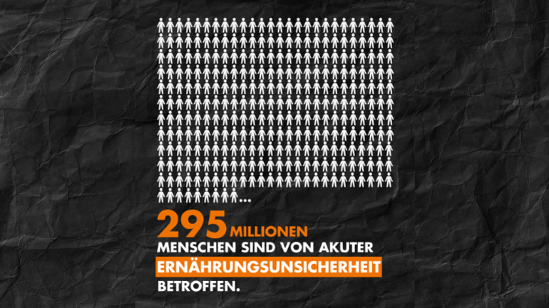 Global Report on Food Crises 1: 295 Millionen Menschen sind von akuter Ernährungsunsicherheit betroffen.
