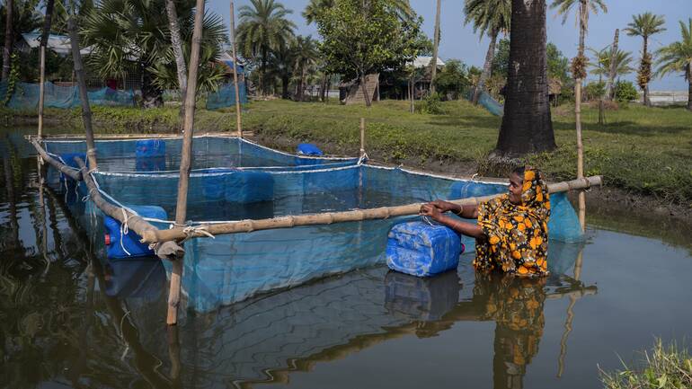 Eine Frau aus Bangladesch in einem Fischteich