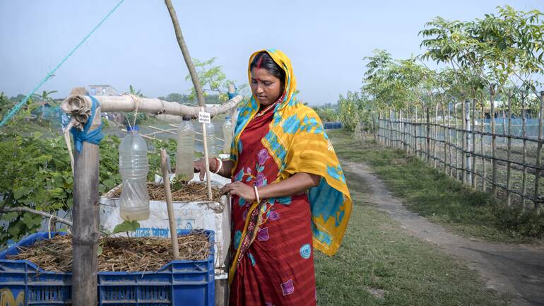 Eine Frau aus Bangladesch an Pflanzkartons