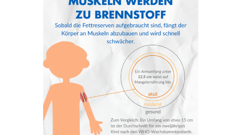 Muskeln werden zu Brennstoff