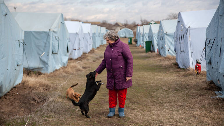 Frau und ihre Hunde in Geflüchtetenlager 