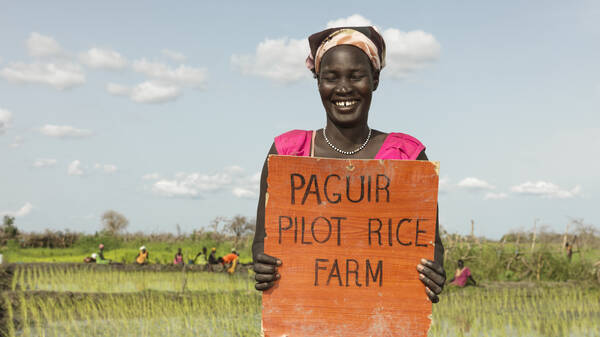Pilotprojekt: Die Reisfarm in Paguir im Südsudan.