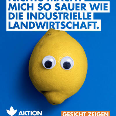 Zum Beitrag auf Instagram. 17866975200128678