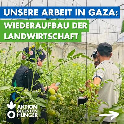 Zum Beitrag auf Instagram. 17873092080131360