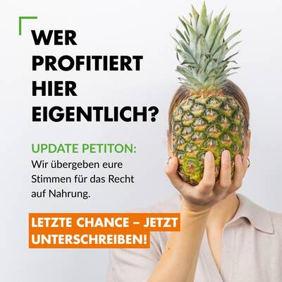 17958775847796202