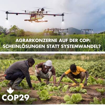 Zum Beitrag auf Instagram. 17970695822666905