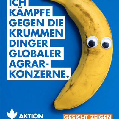 Zum Beitrag auf Instagram. 18025089194140542